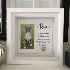 pet memorial gift As Cute as a Button Personalised Framed Prints